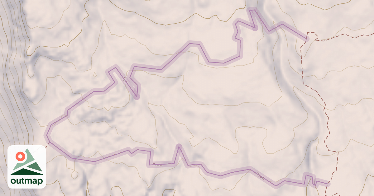 Map of Tron