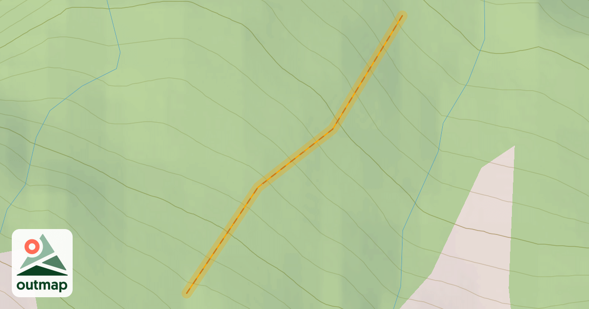 Map of Bonney Trees