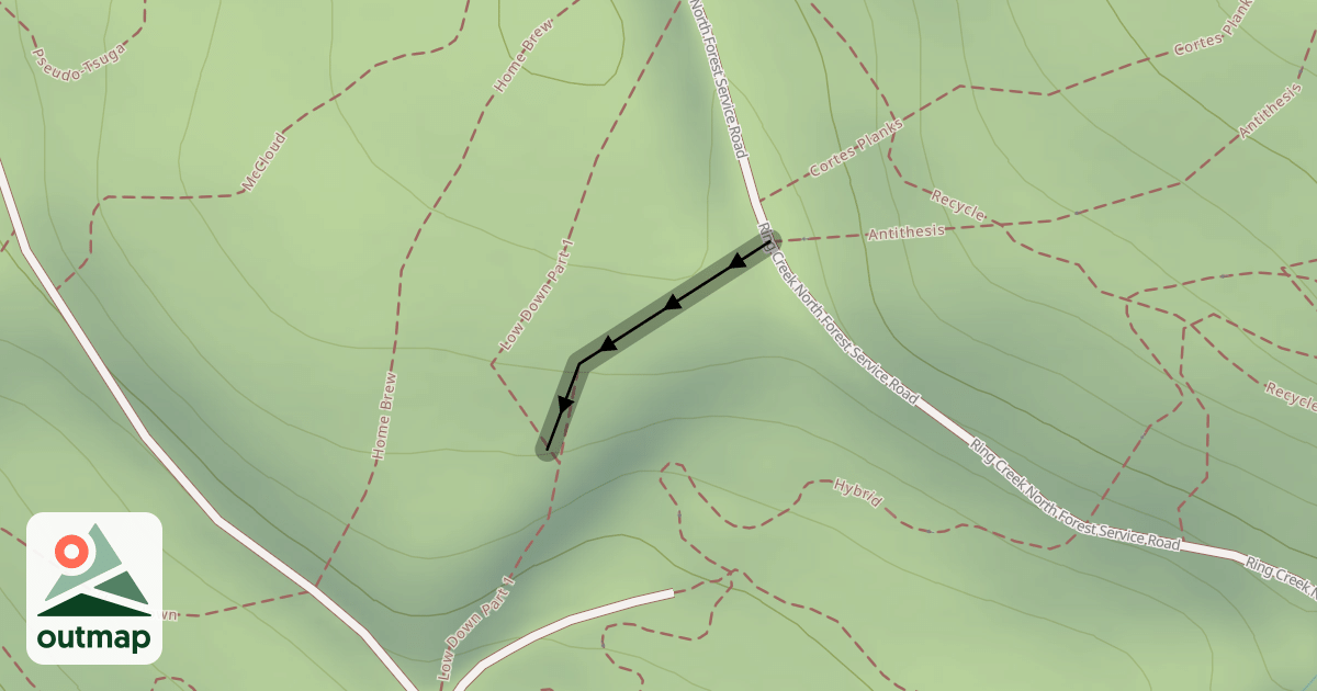 Map of East Infection