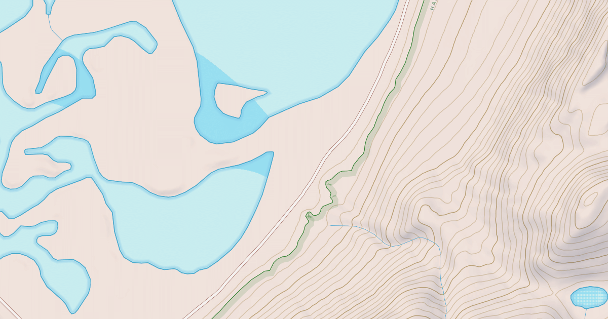 Map preview of BLM National GTLF Public Motorized Roads e53c5c62-5724-435a-ad24-a0a2ab501550