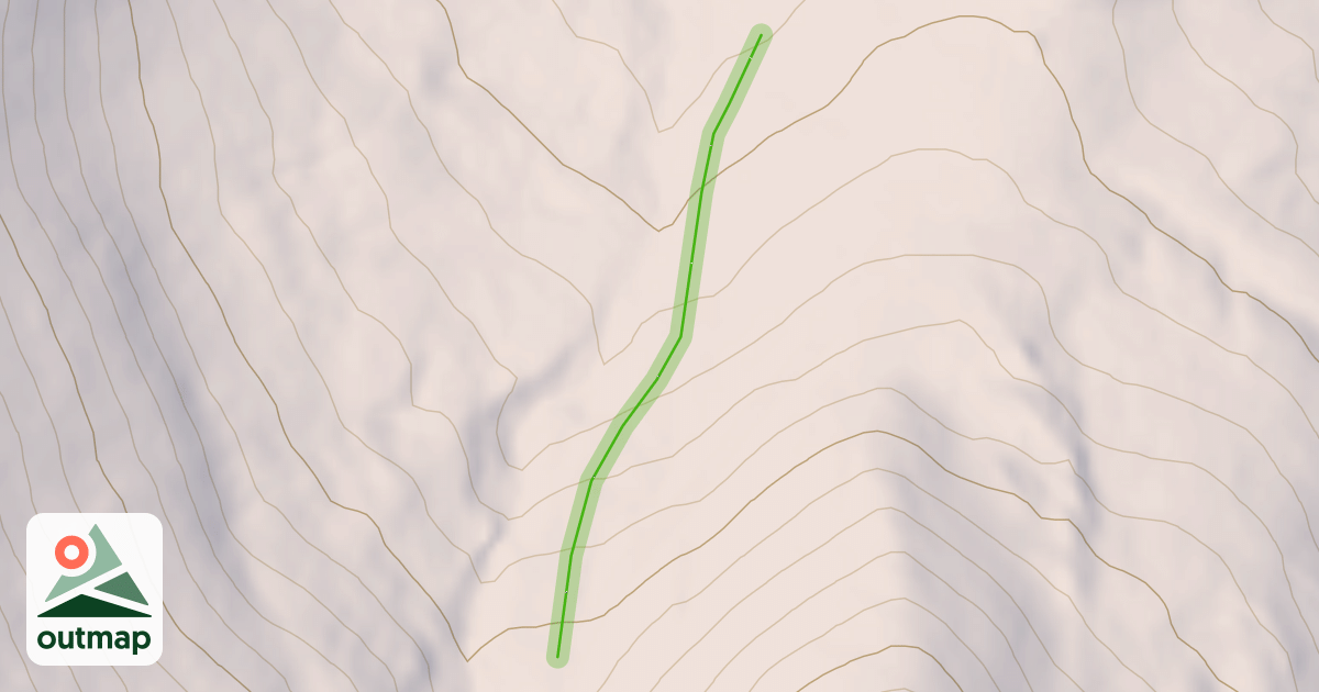 Map of Serendipity