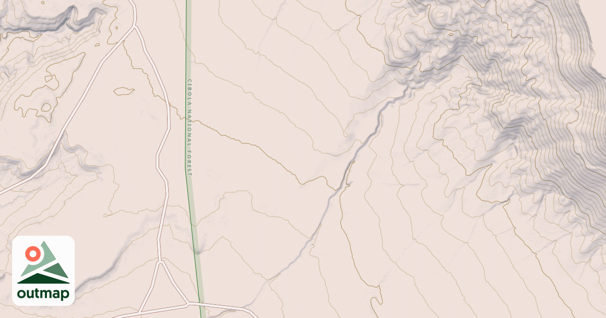 Map of USFS National Forest System Roads {D87DE56E-4010-4FE7-A799-E04052A8FD0A}