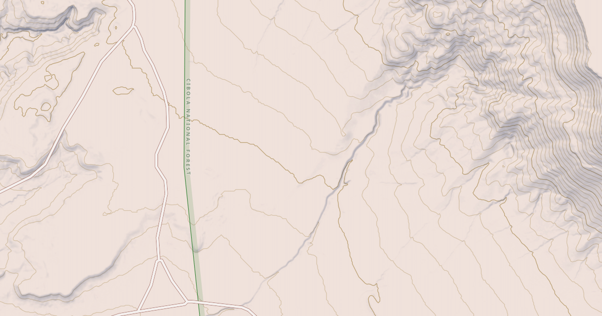Map preview of USFS National Forest System Roads {D87DE56E-4010-4FE7-A799-E04052A8FD0A}