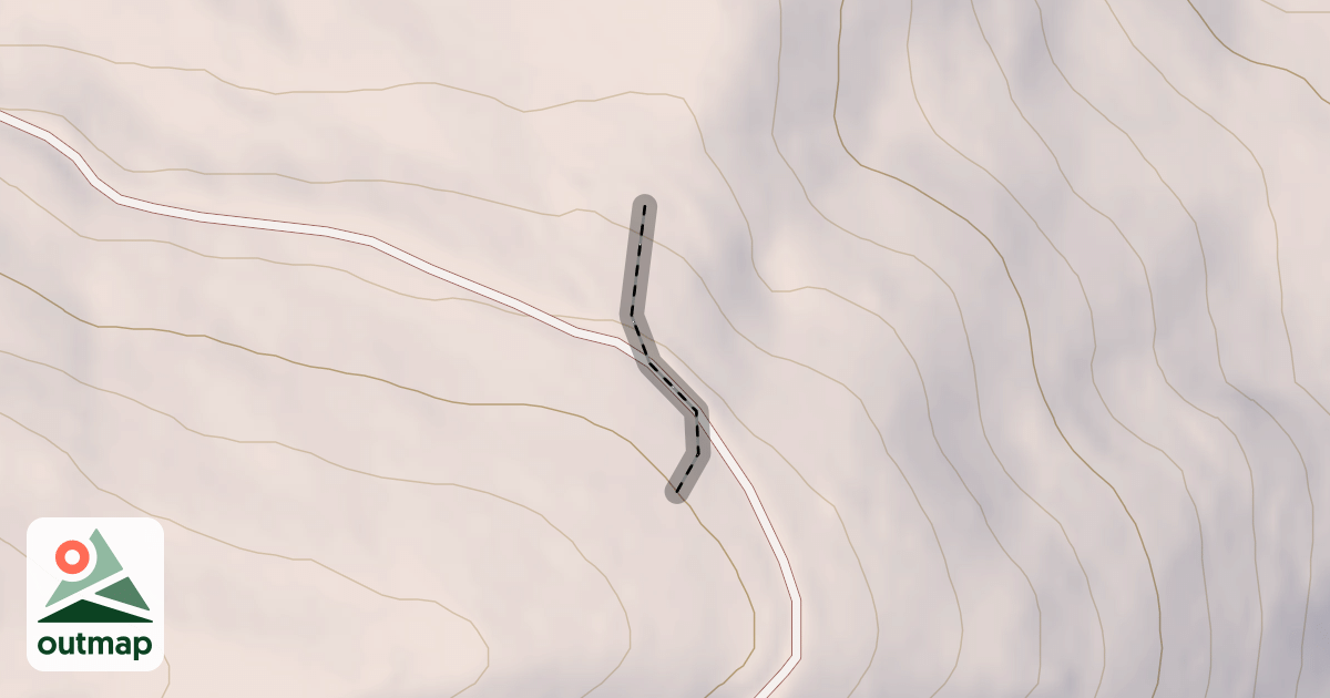 Map of The Grove
