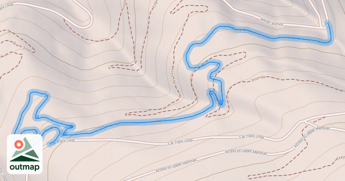 Map of Bees Nest
