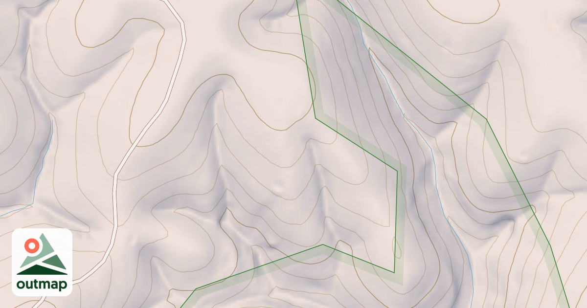 Map of USFS National Forest System Roads {4F22B213-3FA8-447F-9F9B-B3E67850446B}