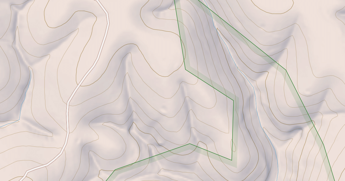 Map preview of USFS National Forest System Roads {4F22B213-3FA8-447F-9F9B-B3E67850446B}