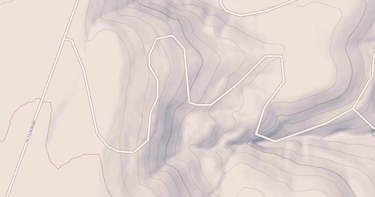 Map preview of USFS National Forest System Roads {B8C57FCE-7CB2-4AF4-A7E5-A6E198261F1F}