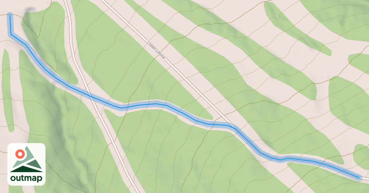 Map of Link