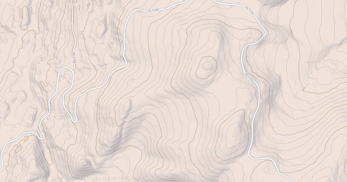 Map preview of USFS National Forest System Roads {2B2ECC93-8654-443B-8E62-FAC62D28116C}
