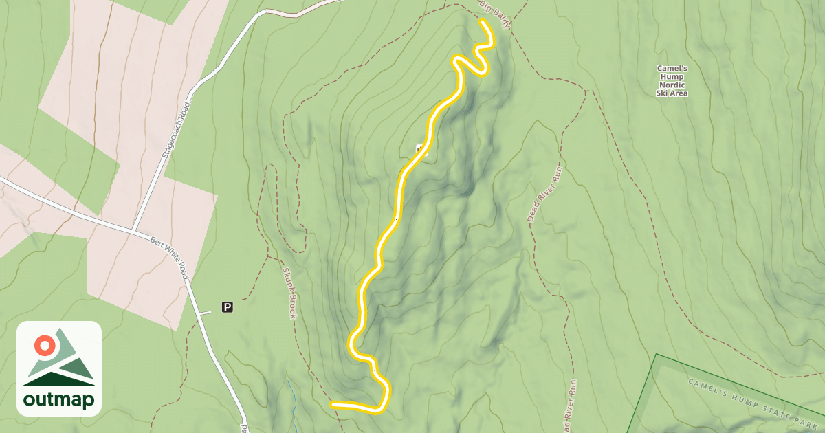 Map of Cobble Hill