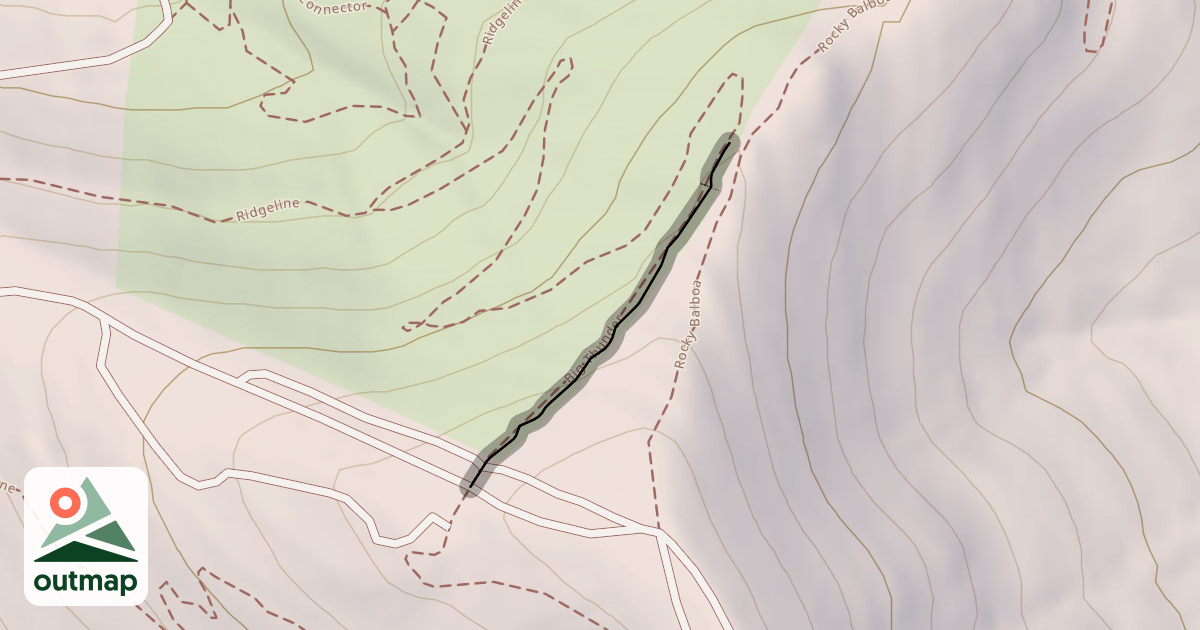 Map of Big Thunder Trail