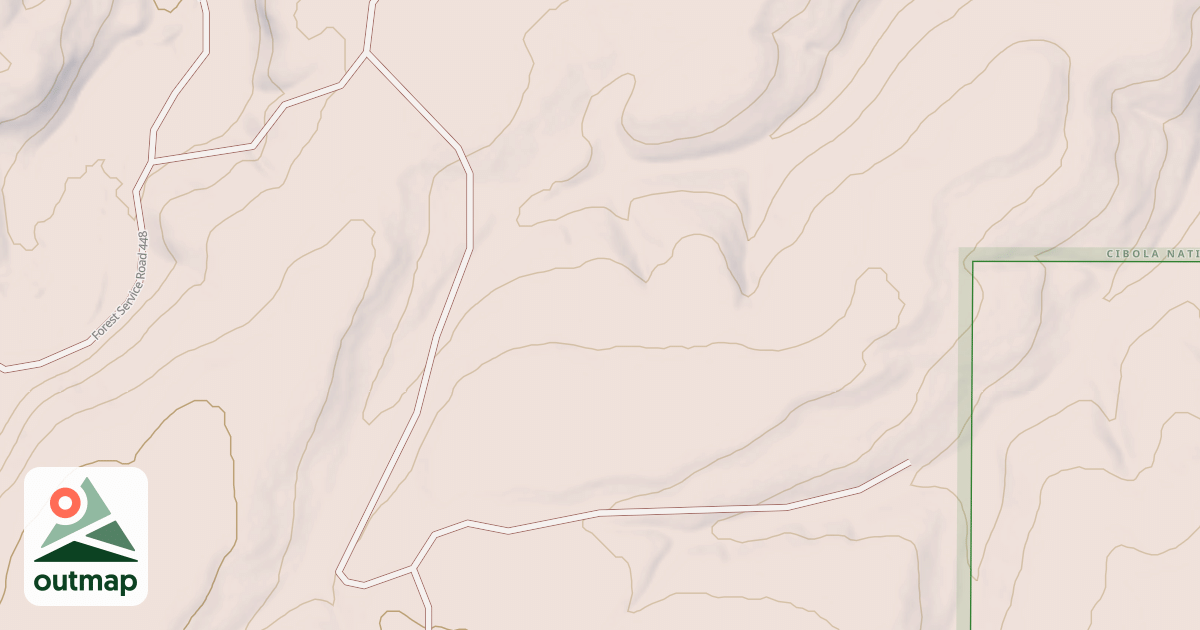 Map of USFS National Forest System Roads {2E309B42-A0F5-410D-B47A-D94B3AB295F0}