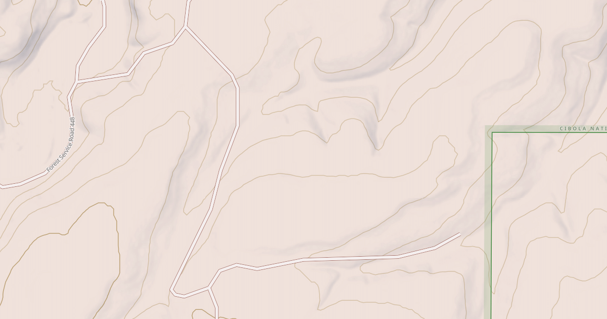 Map preview of USFS National Forest System Roads {2E309B42-A0F5-410D-B47A-D94B3AB295F0}
