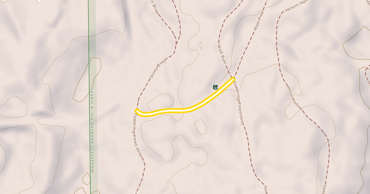Map preview of Towering Pines Loop
