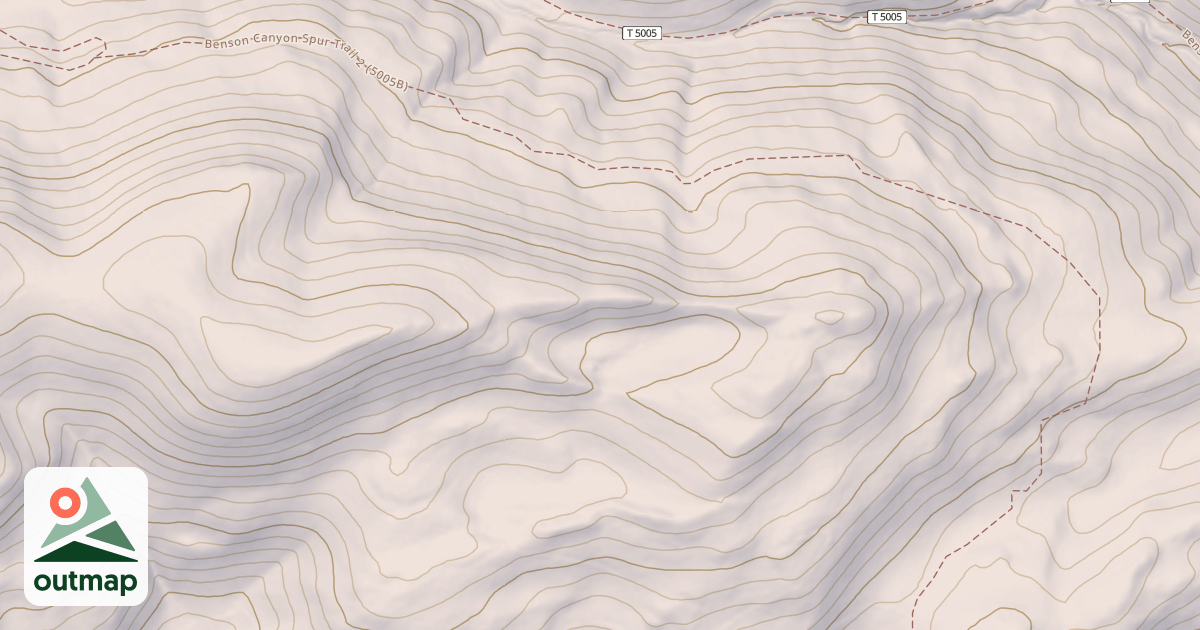 Map of BENSON CYN S.
