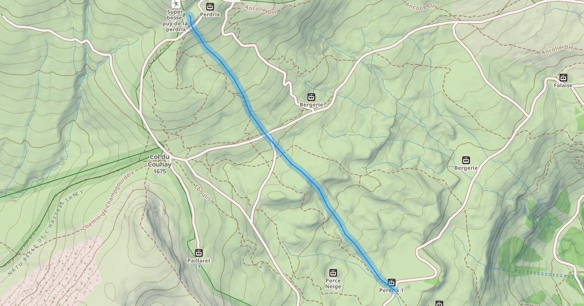 Map preview of Stade Perdrix