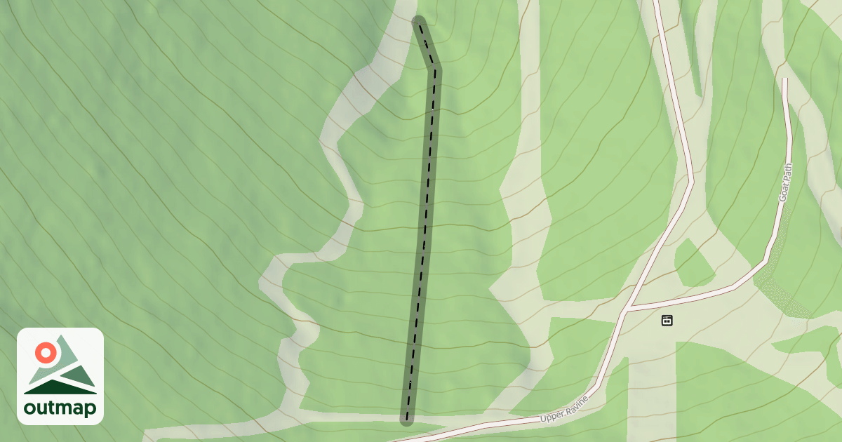 Map of Amazon Glade