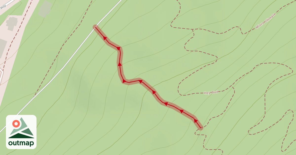 Map of Lower Crazy Train