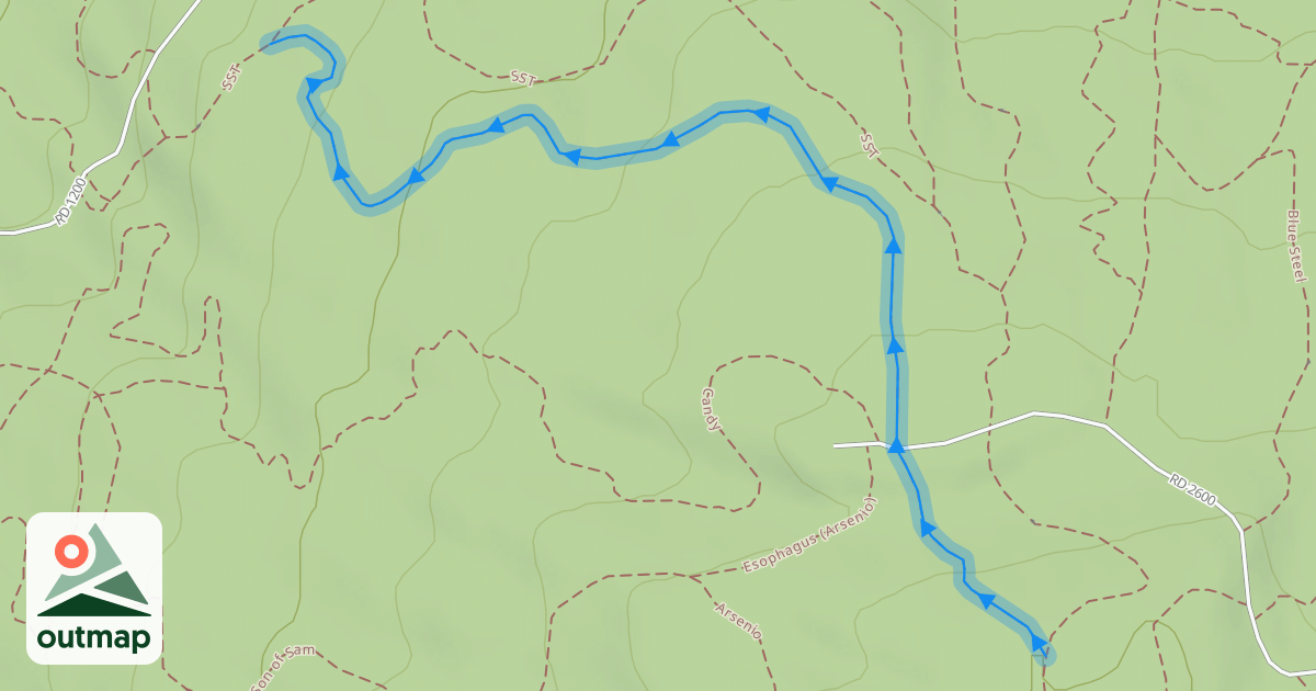 Map of SST Alt