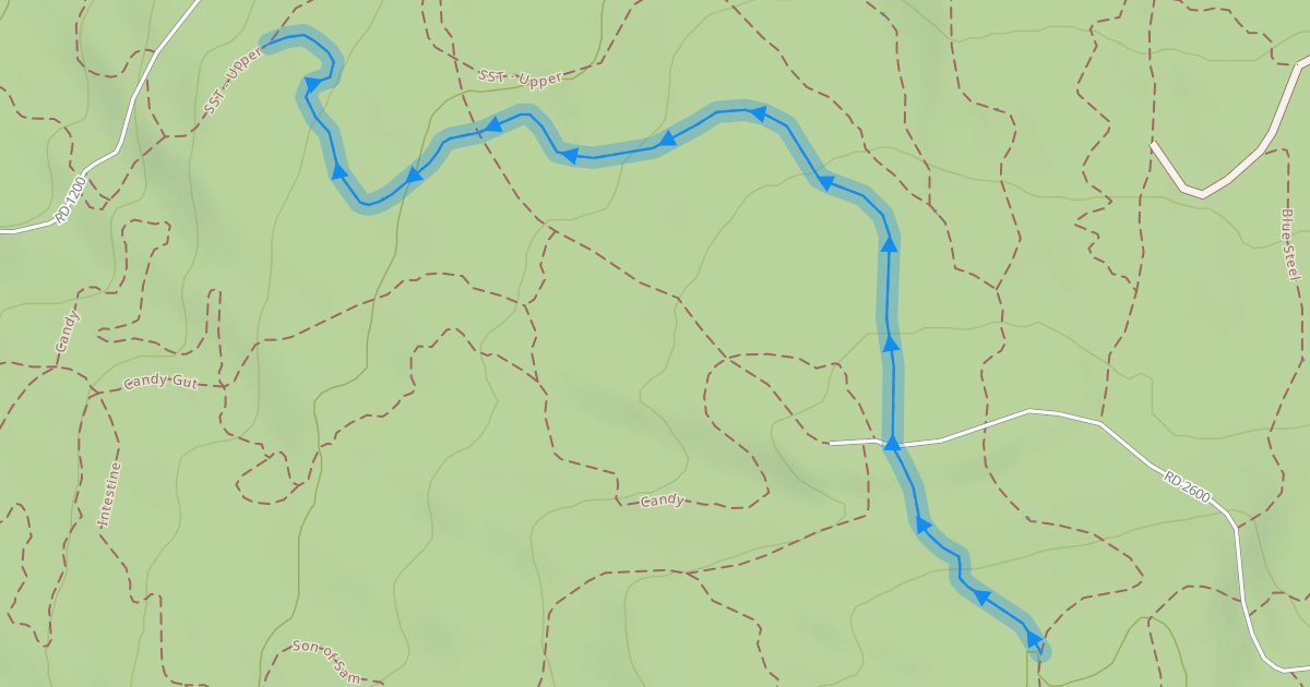 Map preview of SST Alt