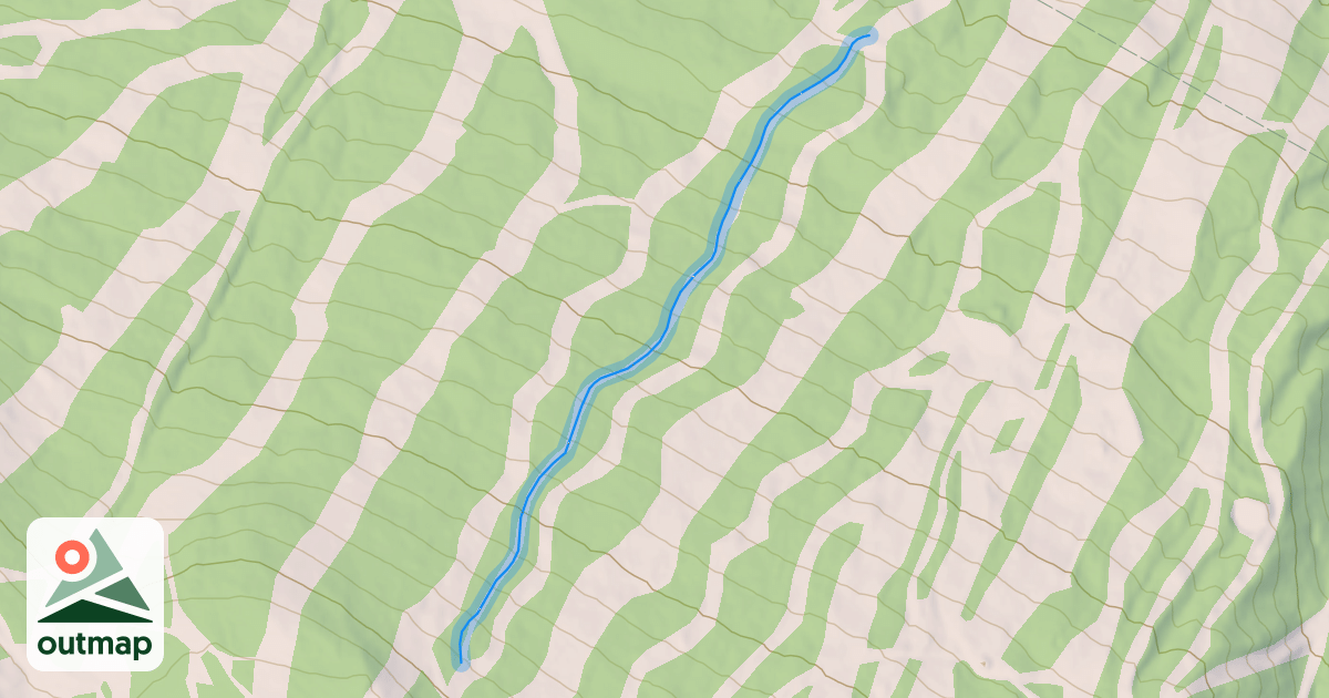 Map of Herb's Secret