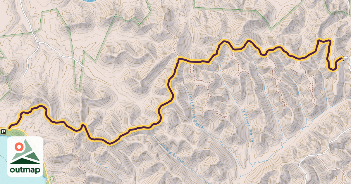 Map of Limestone Bike Trail #100:8 / Sheltowee Trace #100