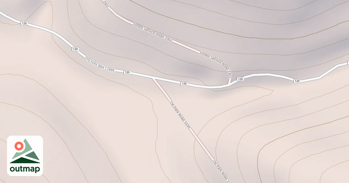 Map of DISPERSED 3339-069