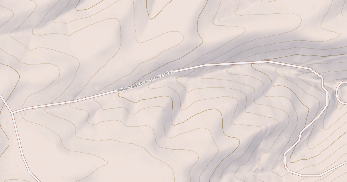 Map preview of USFS National Forest System Roads {39E446D5-BFA6-4C7D-992D-AF3D820555C8}