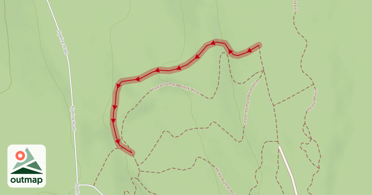 Map of Cedar Dust Expert Jump Line