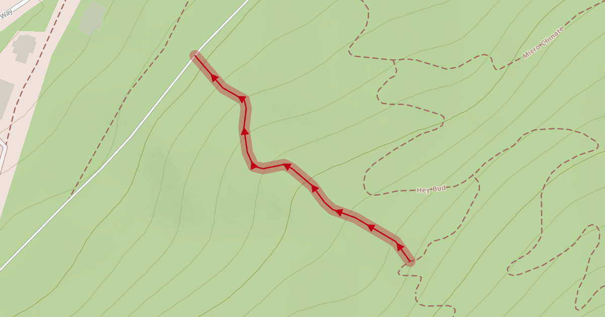 Map preview of Lower Crazy Train