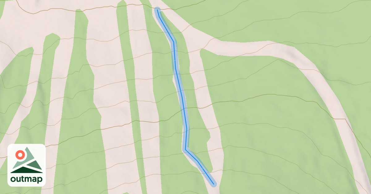 Map of Pines