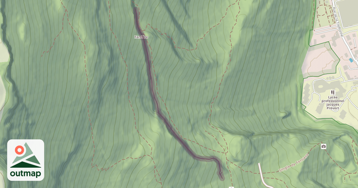 Map of D.J. Face