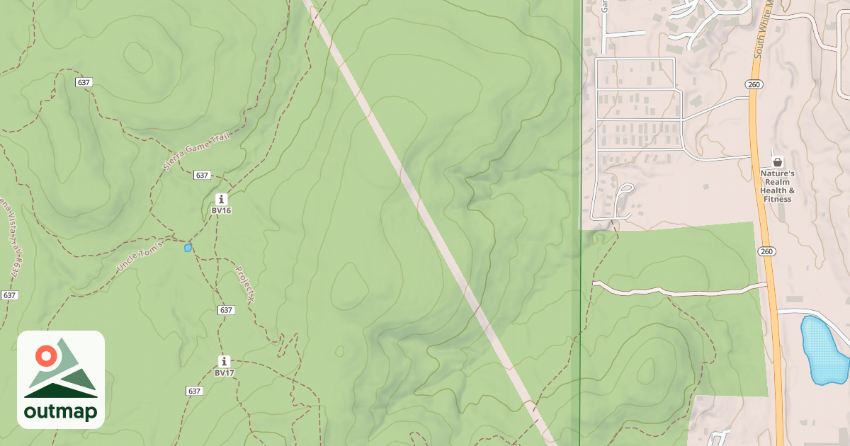 Map of USFS National Forest System Roads {A7871DB9-727C-4A5E-9ECD-53F03FD3907F}