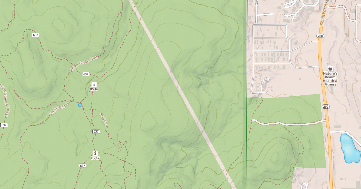Map preview of USFS National Forest System Roads {A7871DB9-727C-4A5E-9ECD-53F03FD3907F}