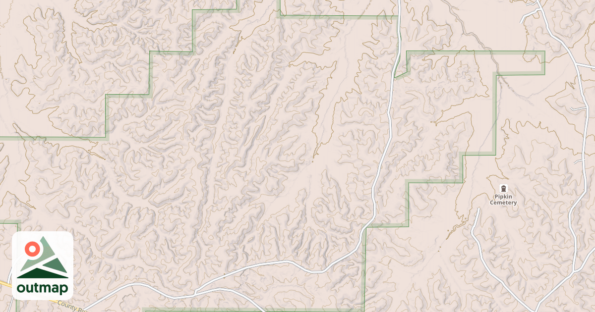 Map of USFS National Forest System Roads {FEE8E1FF-3539-44C9-854C-CAE44C252623}