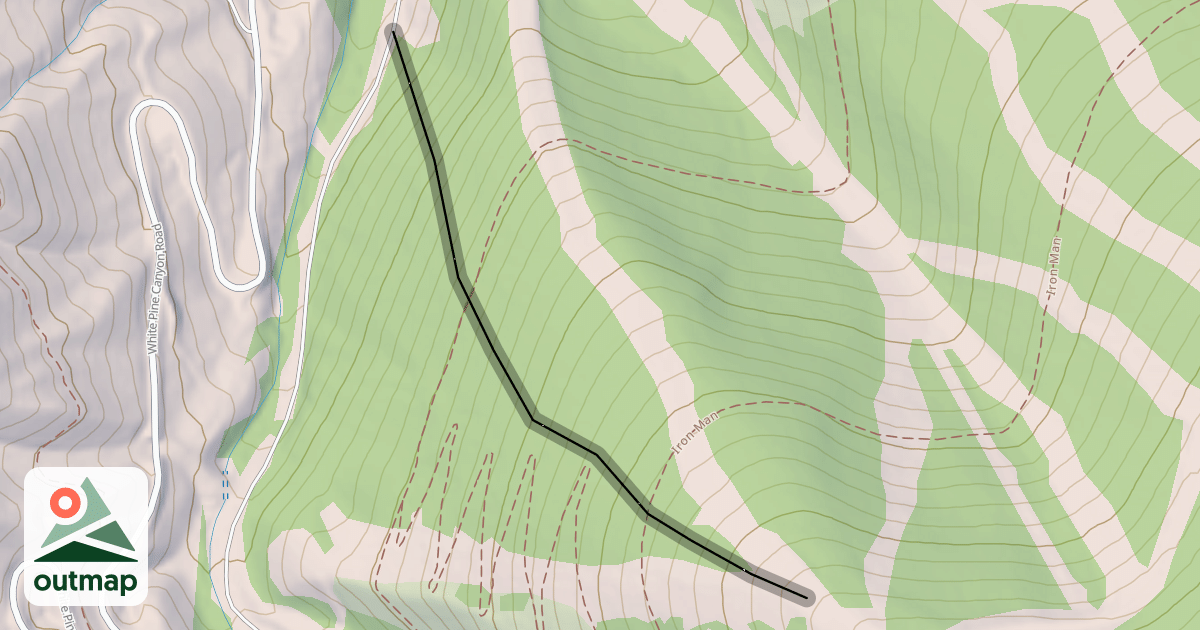 Map of Platinum Woods