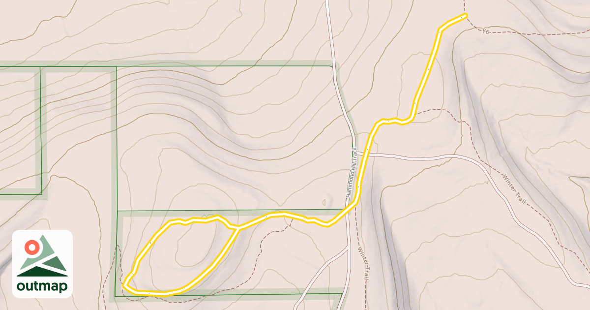Map of B1