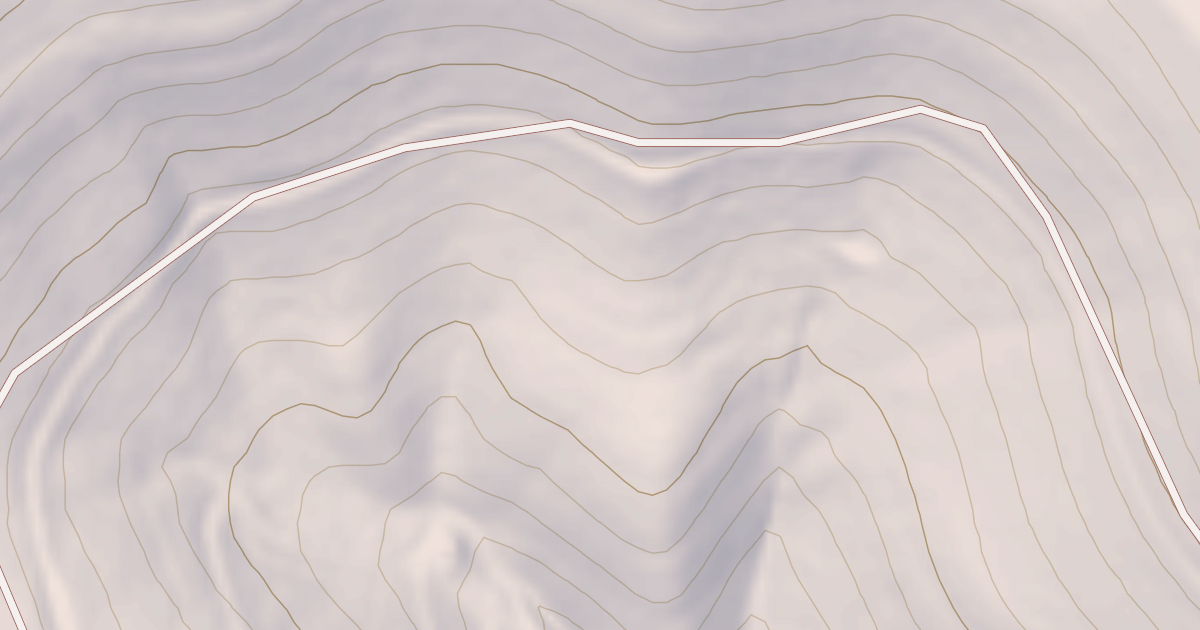Map preview of BLM National GTLF Public Motorized Roads 370bc113-3e3e-47cc-8a7e-4acc46125f8c