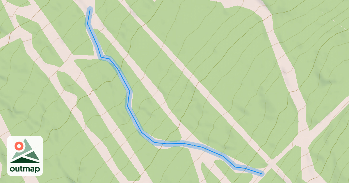 Map of Cougar