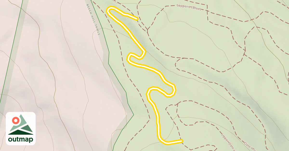 Map of Oslo (Purple)