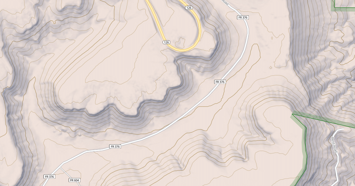 Map preview of USFS Motor Vehicle Use Map Roads {6A78E51F-75EA-4AEE-95CC-62758CCA2509}