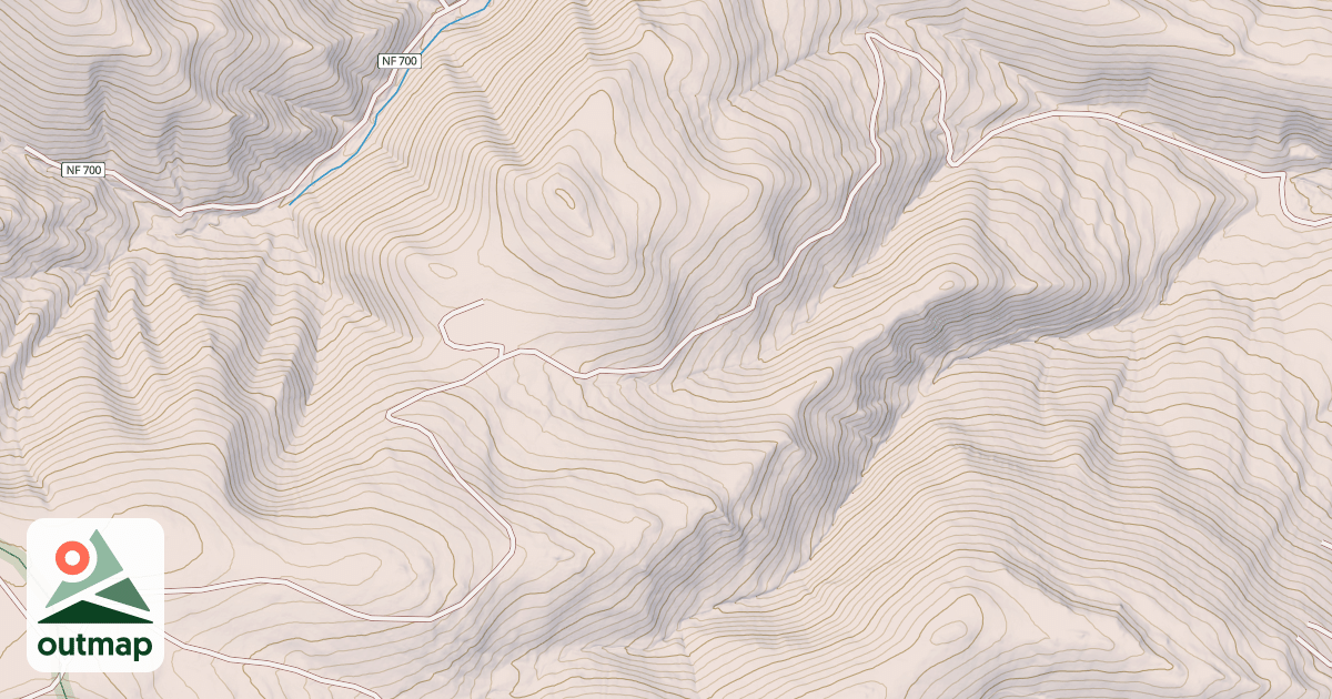 Map of USFS National Forest System Roads {390E21F3-8E85-4E95-A991-E492125A2EEE}