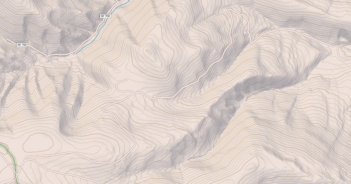 Map preview of USFS National Forest System Roads {390E21F3-8E85-4E95-A991-E492125A2EEE}