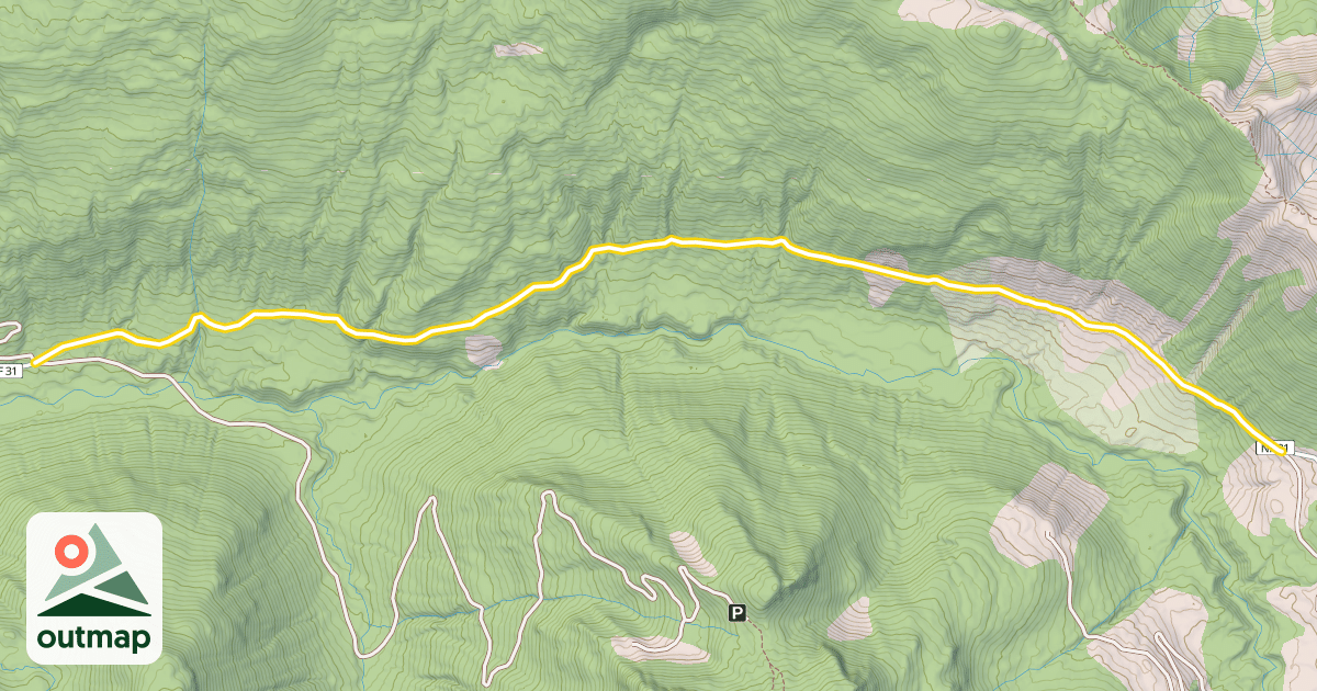 Map of Canyon Creek Road