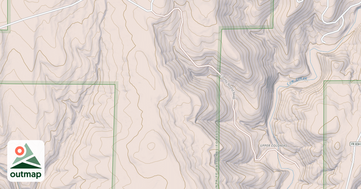 Map of USFS National Forest System Roads {3D3F027D-A17E-4F1A-9A34-58DA8E87467D}