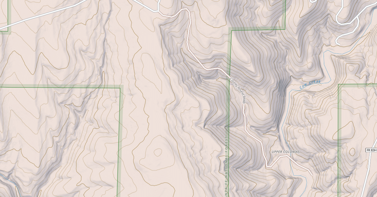 Map preview of USFS National Forest System Roads {3D3F027D-A17E-4F1A-9A34-58DA8E87467D}