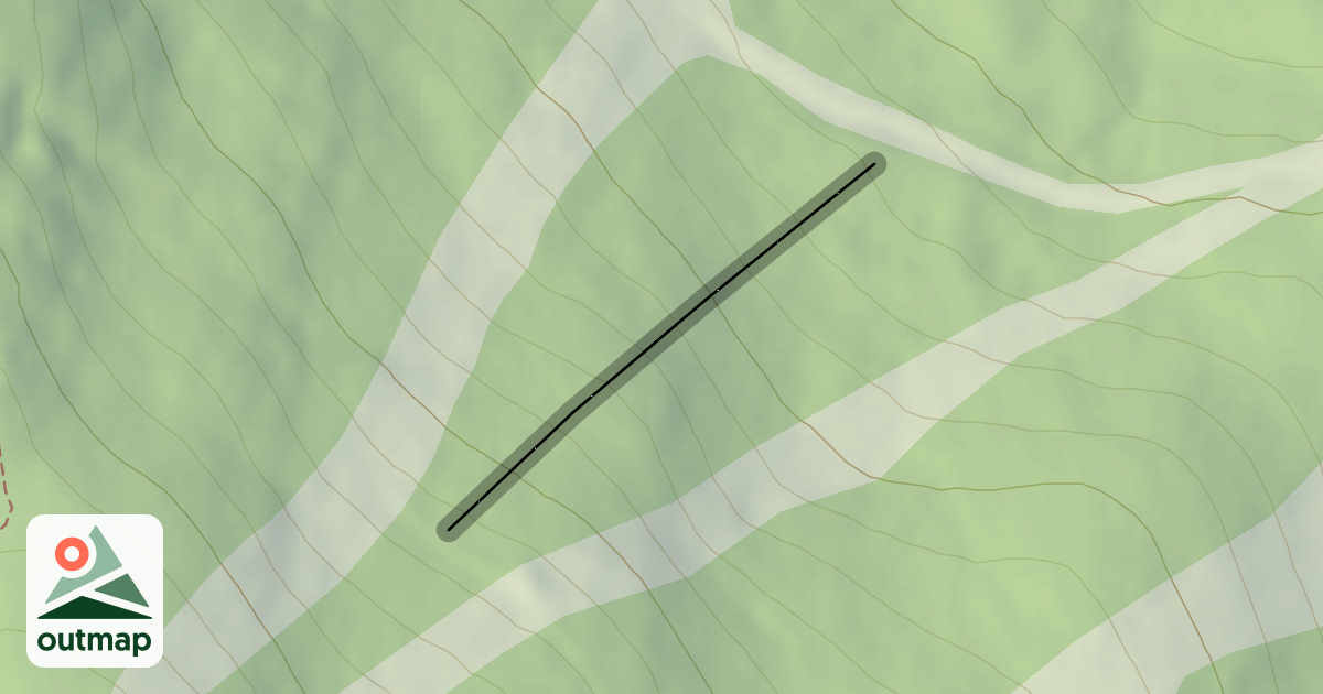 Map of Bravinator Woods