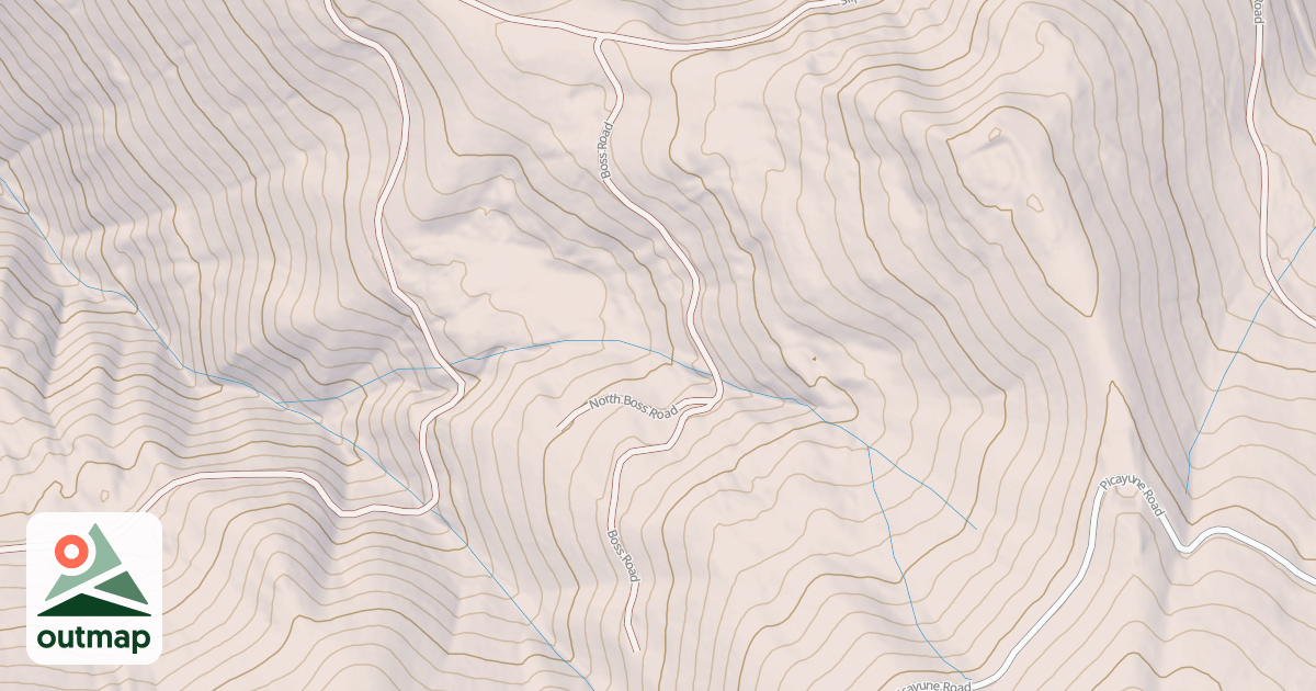 Map of BOSS