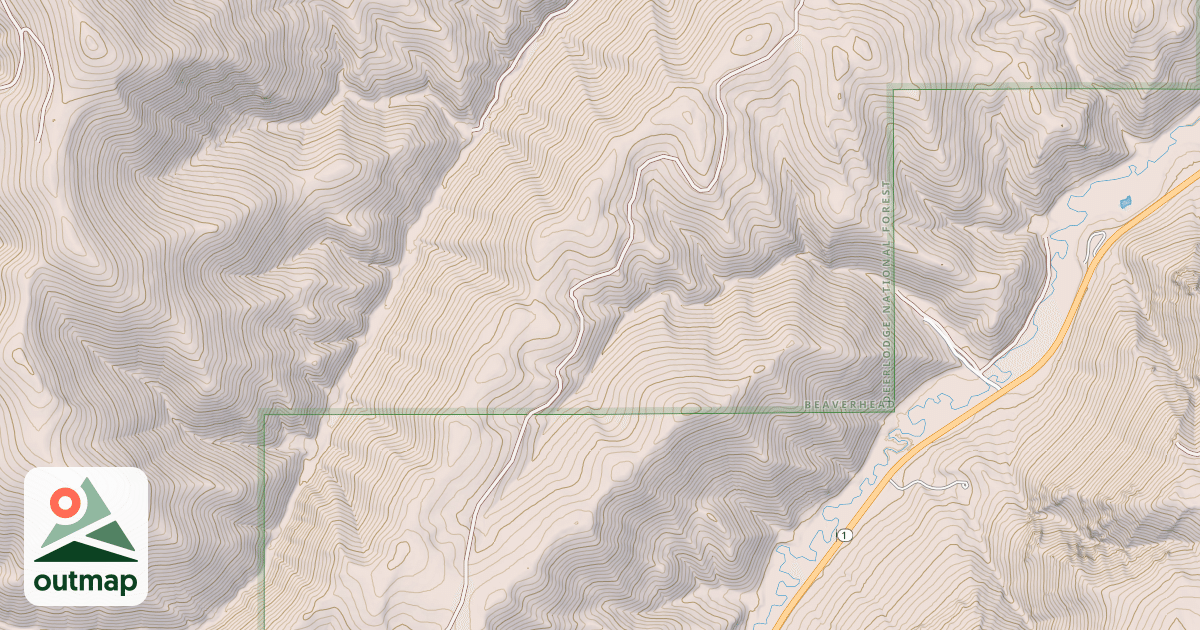 Map of USFS National Forest System Roads {04625C33-83AA-40A0-AA7F-CA1F82DFC7DB}
